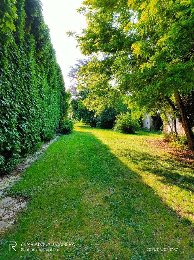 Pegognaga B&B Corte Vo Grande المظهر الخارجي الصورة